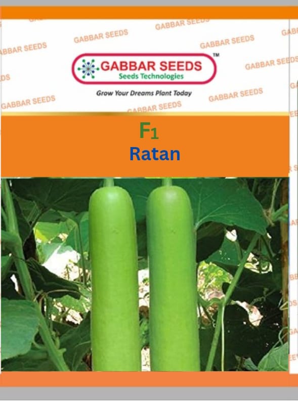 F1-Ratan